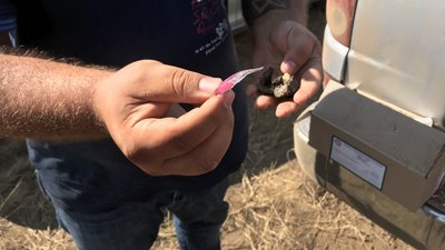 Вакцинація Одеса Вакцинація Одеса