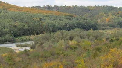 парк, Дністер, Дністровський каньйон