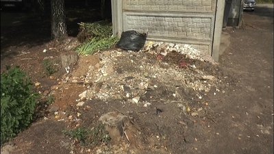 У Знам'янці в парку біля музичної школи влаштували смітник