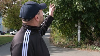 Напруга більше за 400 вольт: рівняни через негоду та горіх три дні сиділи без світла Напруга більше за 400 вольт: рівняни через негоду та горіх три дні сиділи без світла