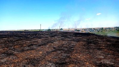 За добу в Миколаївській області сталися 12 пожеж — ДСНС За добу в Миколаївській області сталися 12 пожеж — ДСНС