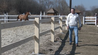 "Головне — вижити й людям, і коням". На Прикарпаття з Київщини перевезли 14 коней "Головне — вижити й людям, і коням". На Прикарпаття з Київщини перевезли 14 коней