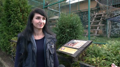 До рівненського зоопарку приїхала мавпочка Даша