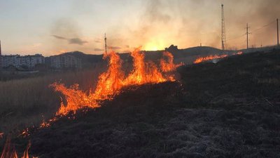 За минулу добу на Львівщині зареєстрували 75 пожеж сухостою