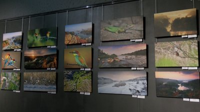 "Краса Бузького Гарду": в Одесі представили фотовиставку загиблого розвідника