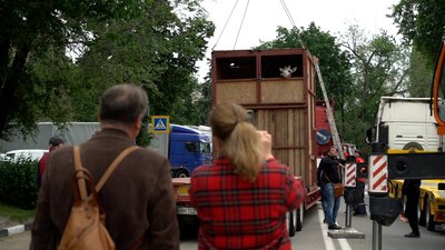 "Обіцяють познайомити з антилопою". Як жираф Дем'ян обживається у Харкові "Обіцяють познайомити з антилопою". Як жираф Дем'ян обживається у Харкові