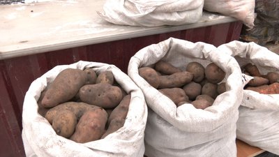 На Черкащині здорожчала картопля На Черкащині здорожчала картопля