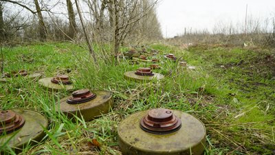 Гракове: як розміновують лінії електропередач Гракове: як розміновують лінії електропередач