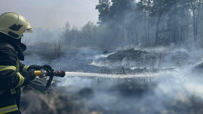 Пожежа сухої трави на Волині, 14 квітня 2026 року