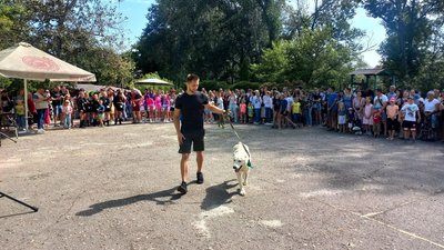 У Сумах відбувся фестиваль "Друг з притулку": домівку шукали близько ста тварин У Сумах відбувся фестиваль "Друг з притулку": домівку шукали близько ста тварин