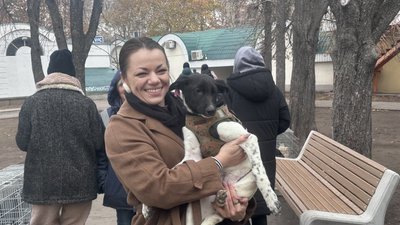 Шанс на нове життя. У Миколаєві відбулася виставка прилаштування тварин