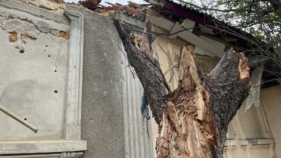 обстріли, будинок, дерево, Херсон