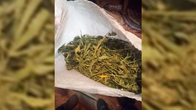 Зберігав та продавав наркотики: на Чернігівщині поліція затримала чоловіка Зберігав та продавав наркотики: на Чернігівщині поліція затримала чоловіка