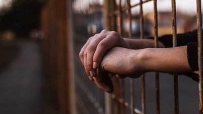 Мешканців Запорізької області, які знімали на відео катування тварин, засудили до ув'язнення