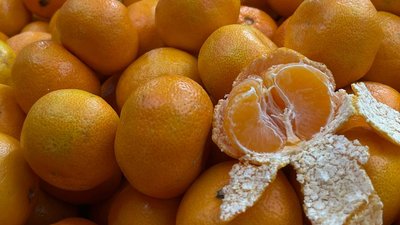 Сезон мандаринів Сезон мандаринів