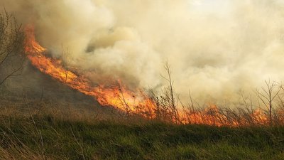 Минулої доби рятувальники Черкащини гасили шість пожеж сухої рослинності