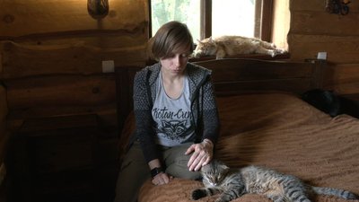 "Із автобуса дружно кричали коти" – харків'янка привезла до Черкас 70 тварин