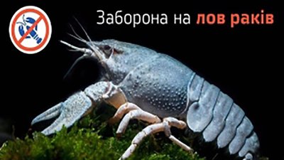 На Житомирщині заборонили вилов раків