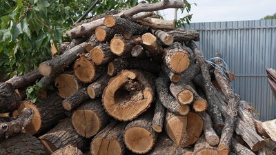 На Кіровоградщині заготовляють дрова на зиму. Які ціни та попит На Кіровоградщині заготовляють дрова на зиму. Які ціни та попит