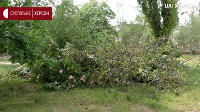 У Херсоні мешканці одного з будинків стали на захист зелених насаджень У Херсоні мешканці одного з будинків стали на захист зелених насаджень