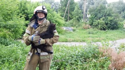 На Полтавщині рятувальники витягнули з колодязя козеня