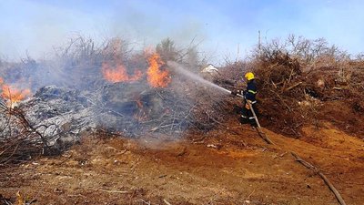 За добу на Херсонщині 9 разів горів сухостій За добу на Херсонщині 9 разів горів сухостій