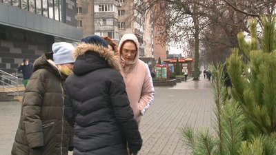 ялинки ялинки