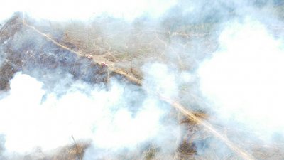 На Закарпатті горить близько 5 гектарів лісу На Закарпатті горить близько 5 гектарів лісу