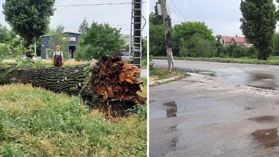 У Кропивницькому наслідки буревію усували три бригади комунальників і сотня рятувальників