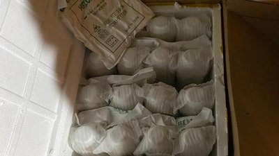 В Одесі вилучили аксесуари для мобільних телефонів на суму понад 10 мільйонів гривень В Одесі вилучили аксесуари для мобільних телефонів на суму понад 10 мільйонів гривень