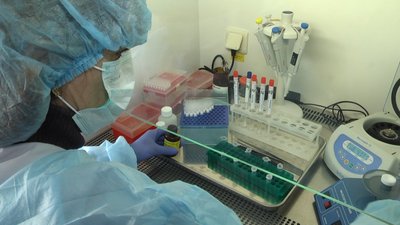На Житомирщині епідемічний поріг захворюваності на грип перевищено на 20 відсотків