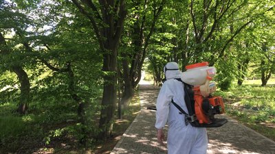 Львівські парки почали обробляти від кліщів