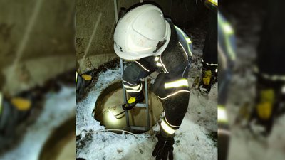 Впав до відкритого каналізаційного колодязя – у Малині на Житомирщині врятували собаку