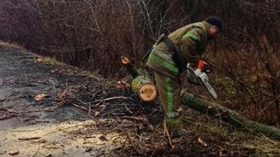 Повалені дерева заблокували рух автівок. На Дніпропетровщині ліквідовують наслідки поривів вітру