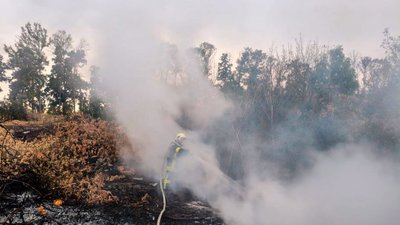 Пожежа сухої рослинності