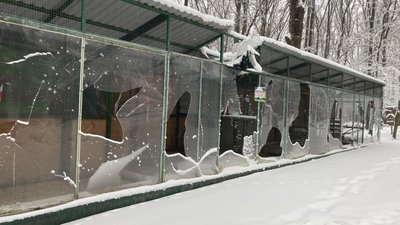 Розбиті внаслідок обстрілів РФ вольєри в екопарку під Харковом Розбиті внаслідок обстрілів РФ вольєри в екопарку під Харковом