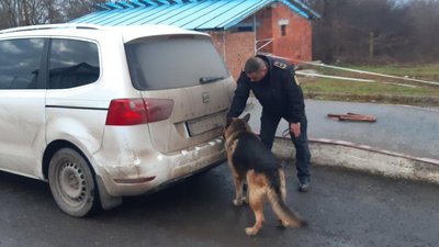 Собака кінологічної служби винюхав сигарети в машині угорського дипломата