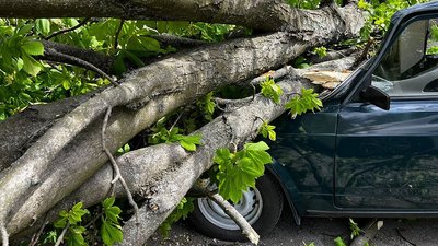 Прибирали повалені дерева з машин та автошляхів. На Дніпропетровщині рятувальники долали наслідки негоди Прибирали повалені дерева з машин та автошляхів. На Дніпропетровщині рятувальники долали наслідки негоди