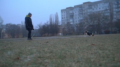 Чи кусають кліщі взимку. Ветлікар з Кропивницького Чи кусають кліщі взимку. Ветлікар з Кропивницького