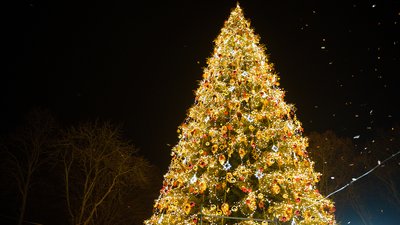 Вінницька новорічна ялинка засяє 19 грудня