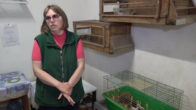 В Одеському зоопарку лікують їжака, який сам прийшов до закладу