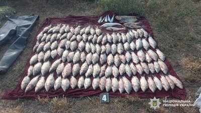 Житель Одещини виловив риби на понад 250 тисяч гривень Житель Одещини виловив риби на понад 250 тисяч гривень