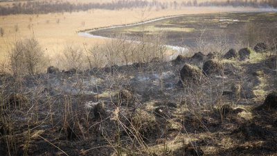 Пожежа в орнітологічному заказнику