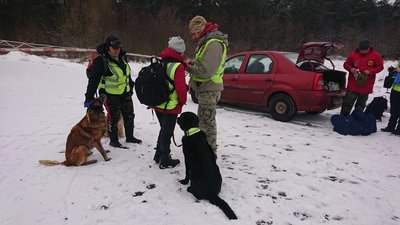 "Повідомляти про зникнення одразу". На Львівщині від початку року оголосили у розшук 480 людей "Повідомляти про зникнення одразу". На Львівщині від початку року оголосили у розшук 480 людей