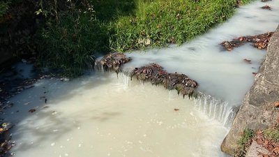 У потік Буркут у Рахові потрапила невідома речовина