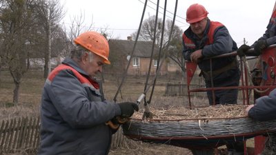 На Волині розробили нову конструкцію штучних гнізд для лелек На Волині розробили нову конструкцію штучних гнізд для лелек