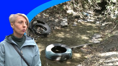 "Запоріжці відчують на собі погіршення якості повітря і води", - експертка про стан Сухої Московки