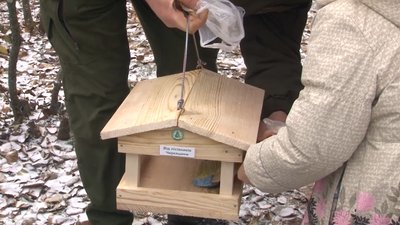 Годівнички і смаколики: на Черкащині дітьти підгодовують диких птахів Годівнички і смаколики: на Черкащині дітьти підгодовують диких птахів