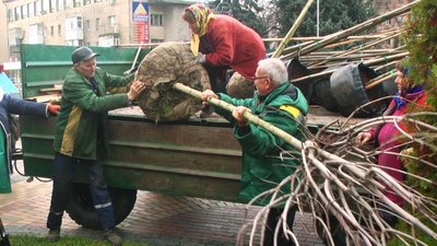 Клени, липи, ясени, платани, горобини та робінії: у Вінниці почали осіннє озеленення міста Клени, липи, ясени, платани, горобини та робінії: у Вінниці почали осіннє озеленення міста