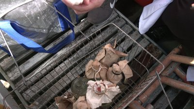 У Рівному взяли проби води з озера Басів Кут У Рівному взяли проби води з озера Басів Кут